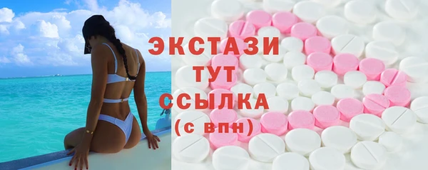 ECSTASY Гусь-Хрустальный