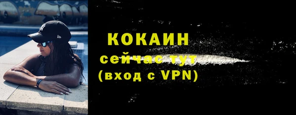 ECSTASY Гусь-Хрустальный