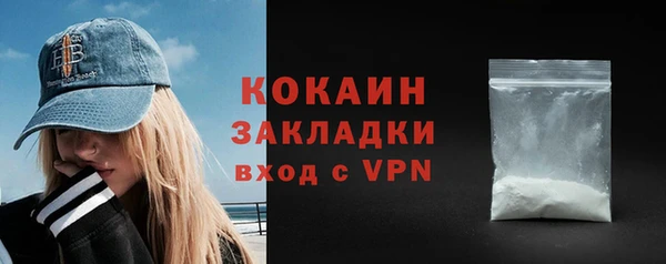 ECSTASY Гусь-Хрустальный