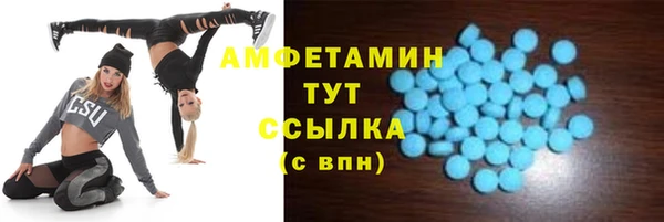 ECSTASY Гусь-Хрустальный