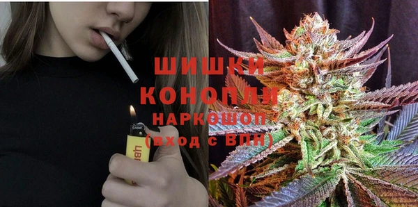 не бодяженный Гусев