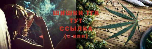 ECSTASY Гусь-Хрустальный