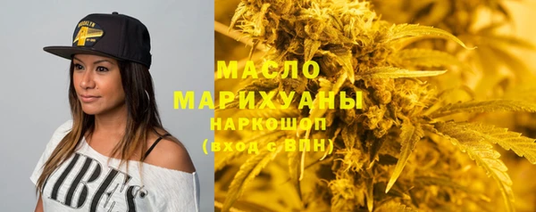 ECSTASY Гусь-Хрустальный