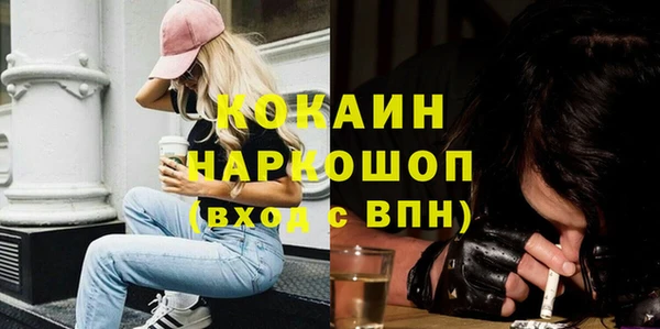 ECSTASY Гусь-Хрустальный