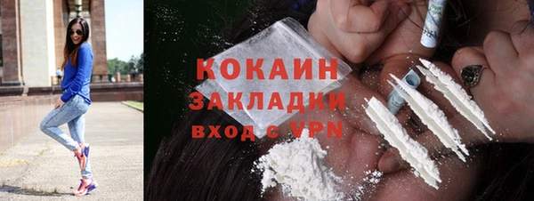 не бодяженный Гусев
