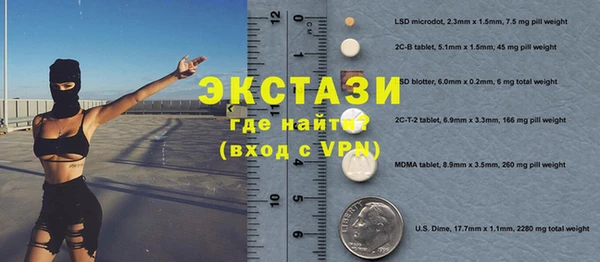 ECSTASY Гусь-Хрустальный