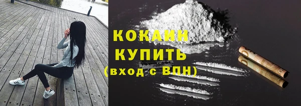 не бодяженный Гусев