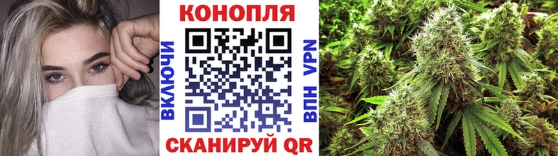 МАРИХУАНА семена  Иланский 